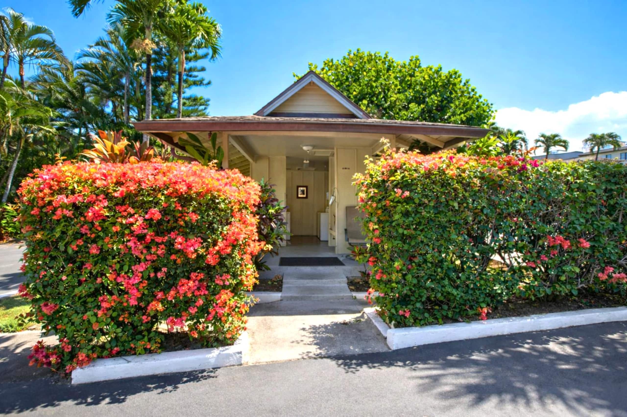 Condo in Lahaina · ★5.0 · 1 bedroom · 1 bed · 1 bath - Image 8