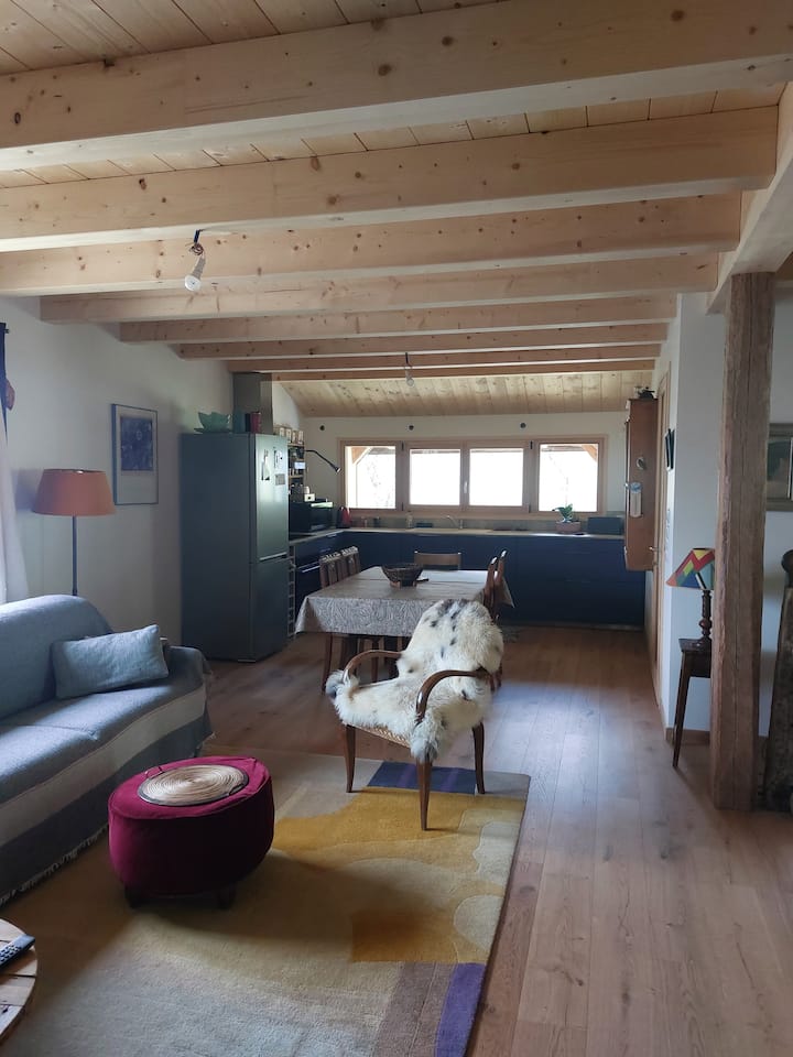 Logement Neuf Dans Ancienne Ferme Savoyarde Isolée - Cluses