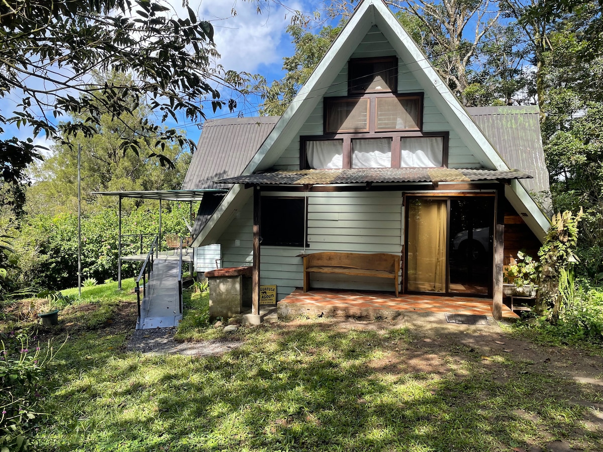 A charming A-frame cabin is set amid greenery, showcasing a wooden entrance with a covered porch. Large windows allow light to fill the interior, while a wooden bench offers a place to relax outside. The surrounding landscape includes lush plants and trees.