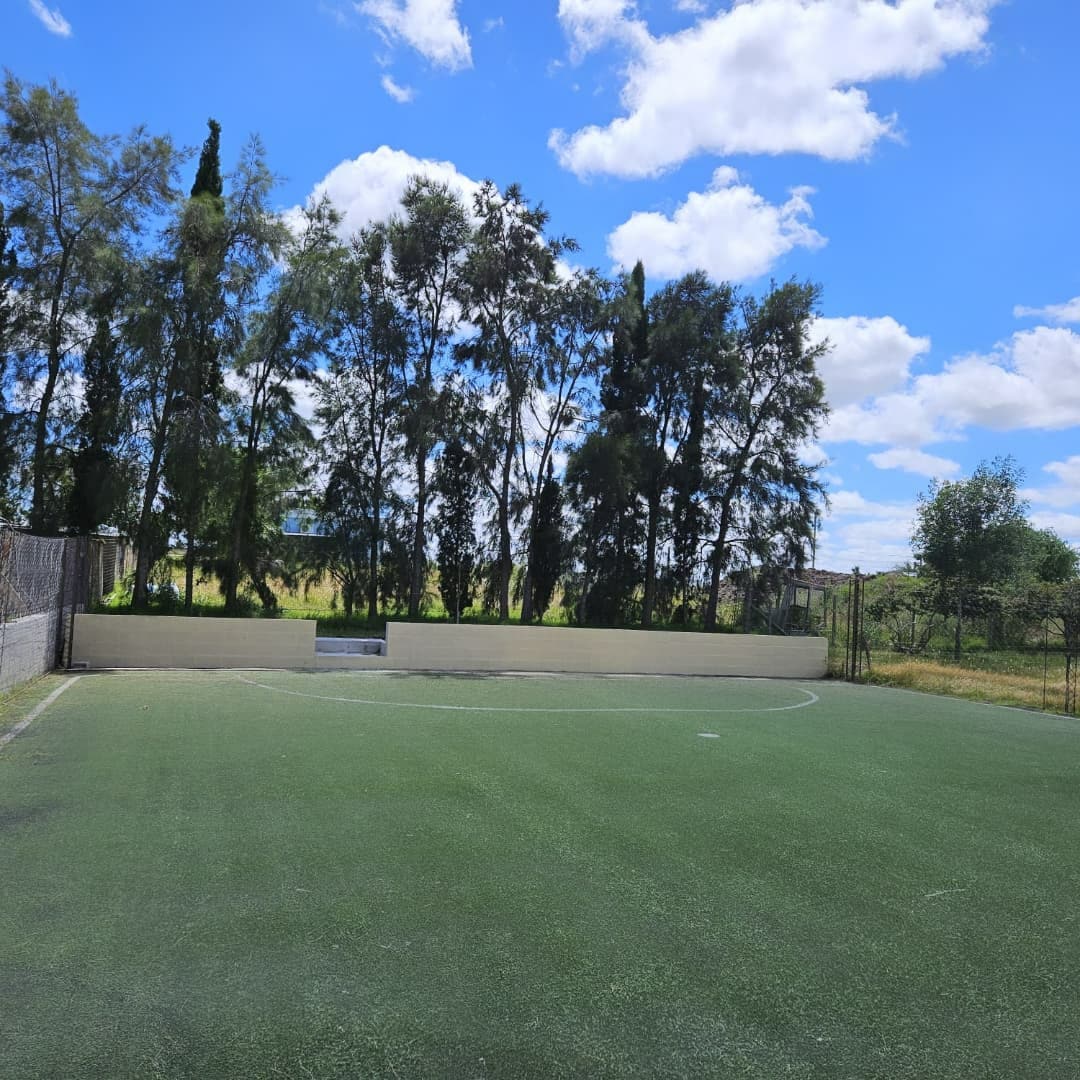 An outdoor sports field is shown, featuring artificial turf under a clear blue sky with fluffy white clouds. Tall trees border one side of the field, providing some shade. A wall is visible at the far end, enhancing the enclosed feel of the area.