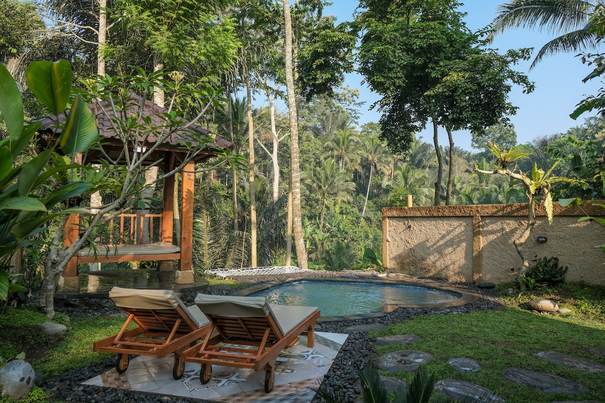 A private plunge pool is surrounded by lush greenery, creating a serene atmosphere. Two wooden sunbeds are positioned nearby on a stone patio. A gazebo offers a shaded seating area, with tall trees and tropical plants providing a natural backdrop.