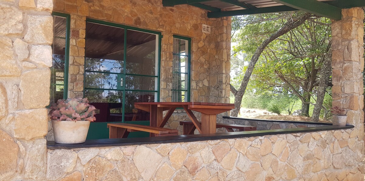 An outdoor seating area features wooden tables surrounded by stone walls. Large windows provide a view of the lush surroundings, while potted plants add a touch of greenery. Sunlight filters through the trees, creating a serene atmosphere for relaxation.
