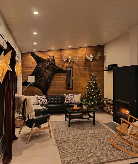 Holiday resort under the northern lights in the middle of Lapland's nature