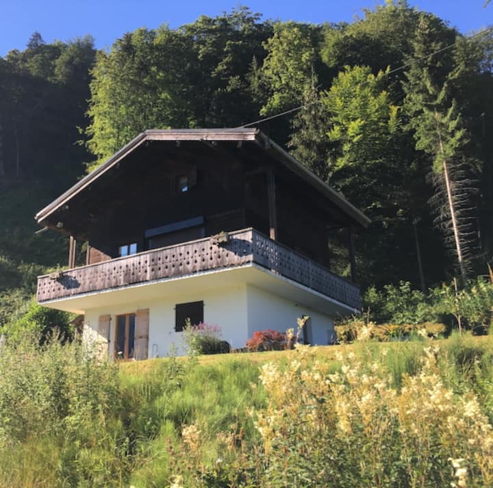 Cosy Samoens Family Chalet - Morillon