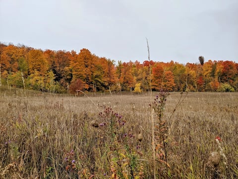 Elegant 4BR Retreat| Golf • Spa • Private & Serene