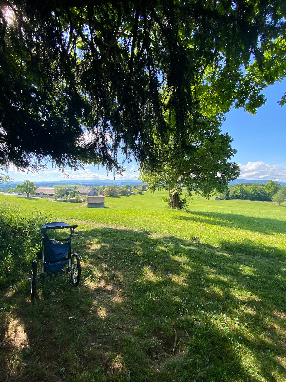 A serene landscape is captured with rolling green fields and distant farmhouses. A gentle path meanders through the vibrant grass. A blue stroller is positioned under a large tree, providing shade and a peaceful view of the countryside.