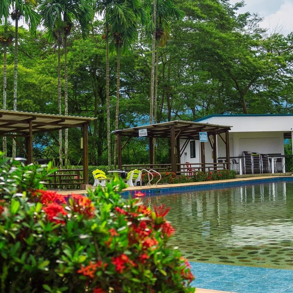 The image displays a spacious swimming pool surrounded by lush greenery. Colorful flowers are seen in the foreground, complementing the serene atmosphere. Cabana-style structures line the pool area, providing shaded seating options for relaxation.