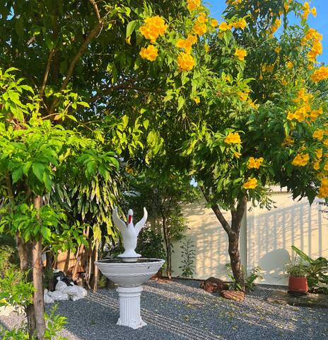 Sukhumvit71Swimming poolVilla素坤逸71巷5卧5卫别墅订满三天以上送接机 gallery image 2