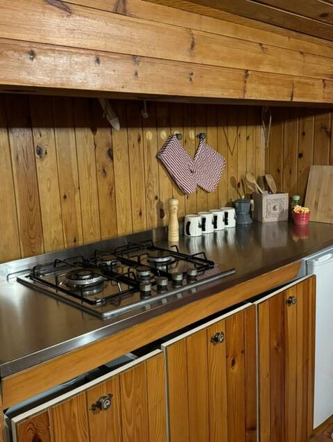Successful Airbnb property: Chalet surrounded by greenery in Pinzolo