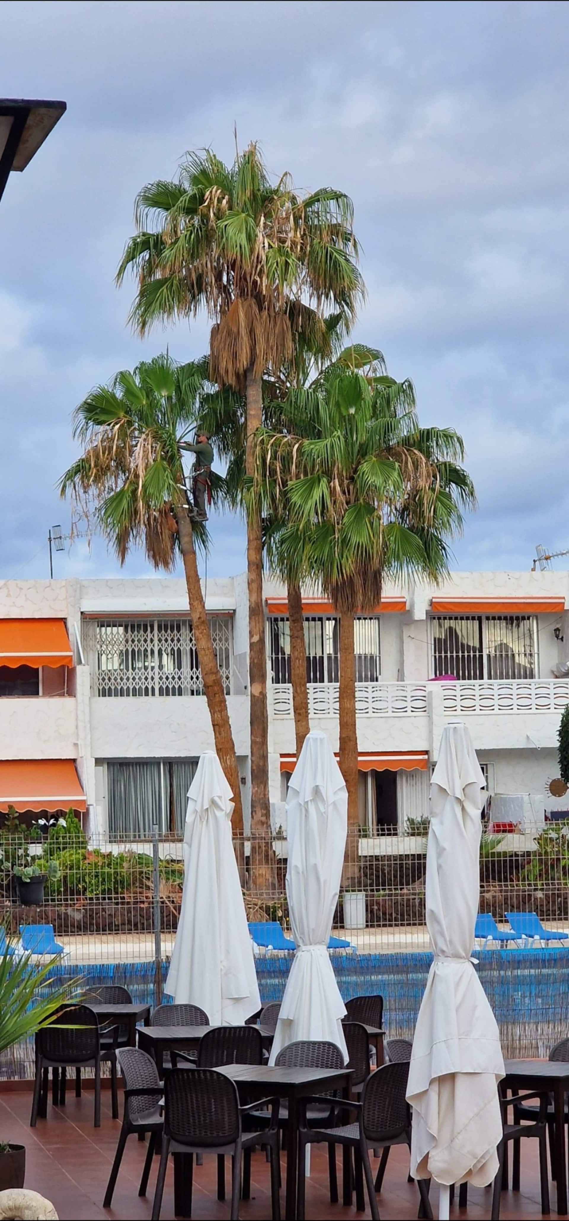 costa del silencio 1 — zdjęcie 4