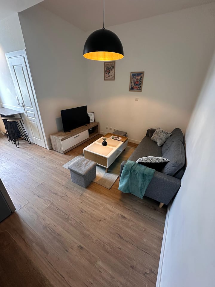 T3 Rénové Calme + Wifi Proche Centre & Montagnes - Ibis budget Chambéry Centre Ville