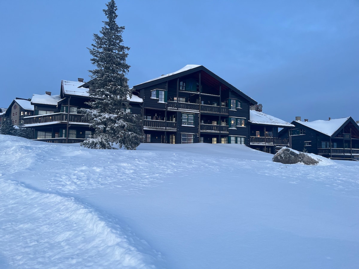 The exterior of the building is enveloped in snow, showcasing multiple balconies that provide outdoor space. A large evergreen tree stands nearby, adding a natural element to the scene. The sky is a soft blue, indicating early morning or late afternoon.