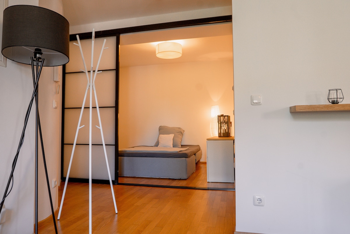beautiful apartment in the Old Town