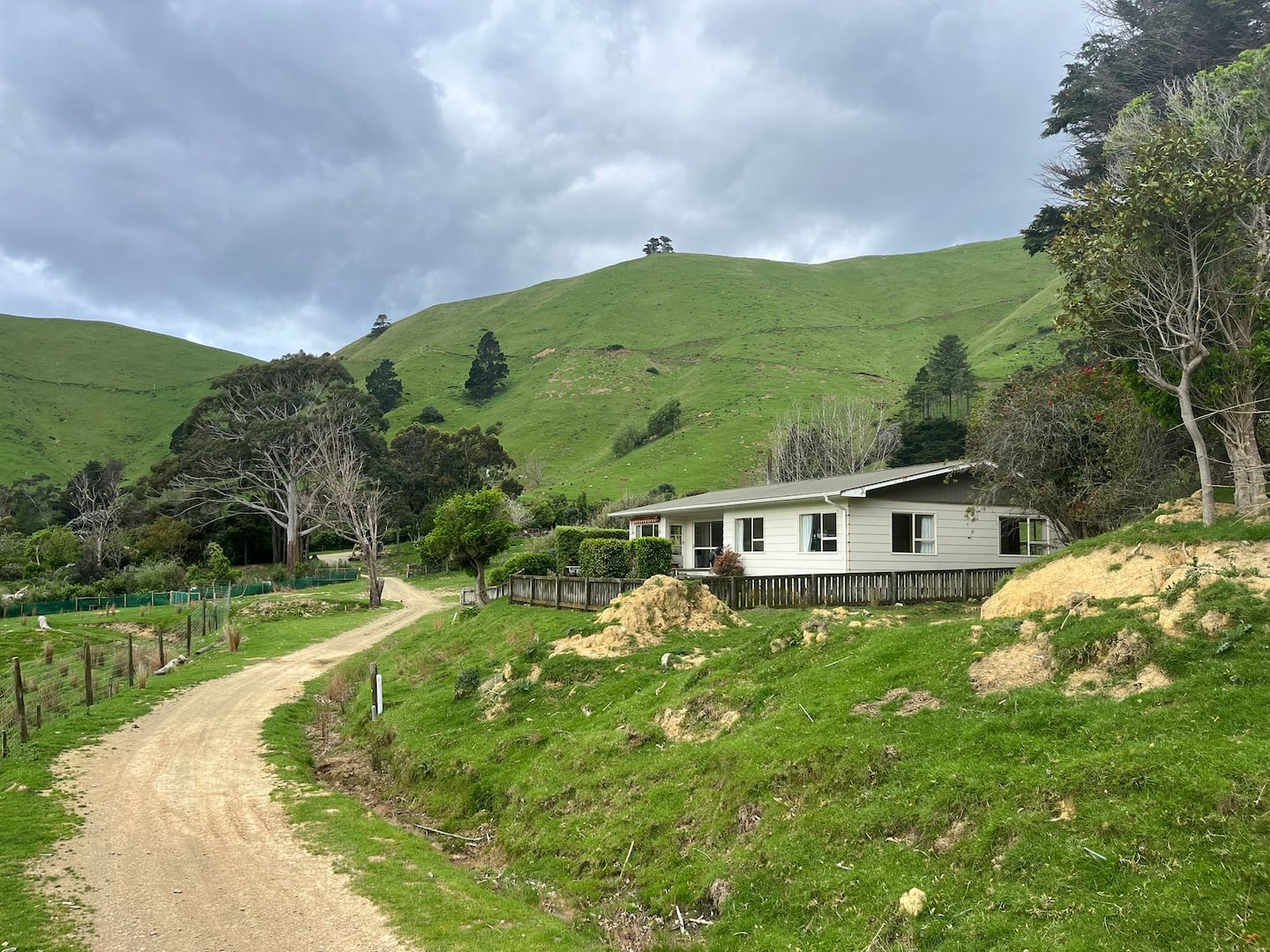 The Lodge 3