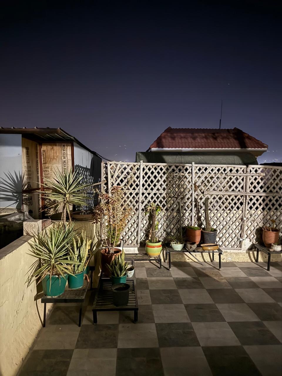 A rooftop terrace is seen at night, featuring various potted plants arranged on black metal stands. A patterned tiled floor enhances the outdoor space, while a wooden structure and a sloped roof building are visible in the background, along with a decorative lattice fence.