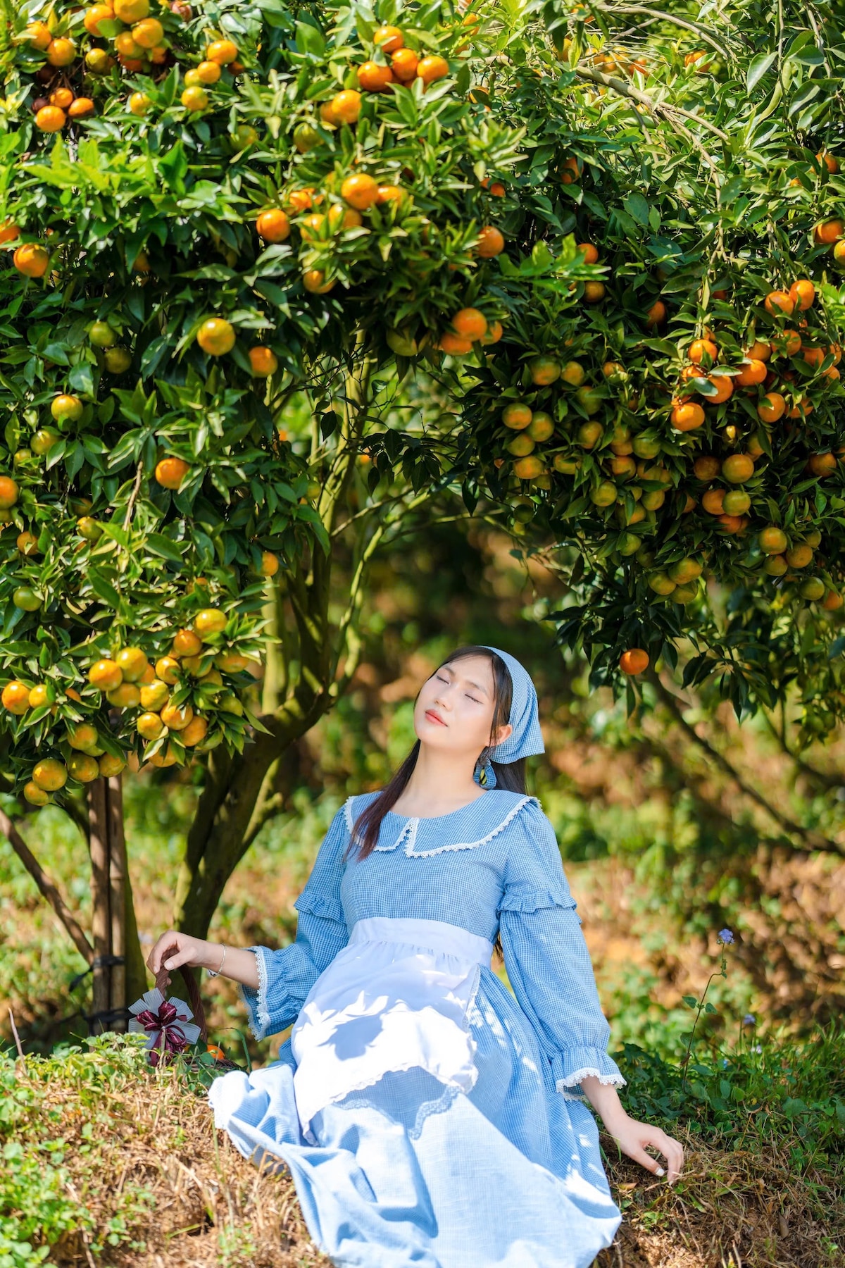 An individual is seated beneath a vibrant orange tree, surrounded by lush greenery. The tree is heavy with ripe oranges, showcasing a rich contrast against the blue dress worn by the individual. The sunlight filters through the foliage, creating a natural and inviting scene.
