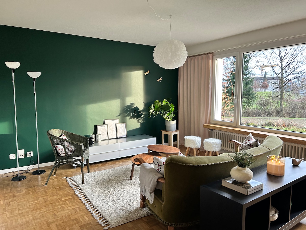 Top performing Airbnb: Lovely cozy house near Lucerne in Luzern