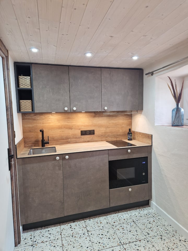 Studio Chaleureux - Annecy-le-Vieux
