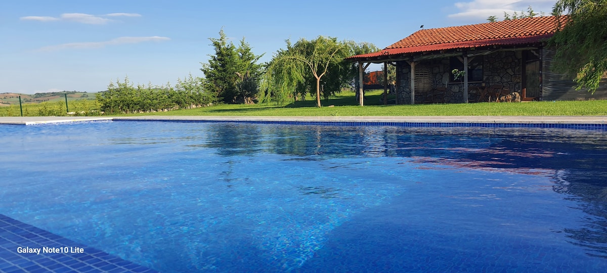 A serene outdoor pool reflects the clear blue sky. Surrounding greenery offers a natural border, while the distant structure features a red-tiled roof. The area is spacious, inviting guests to relax in a peaceful environment.