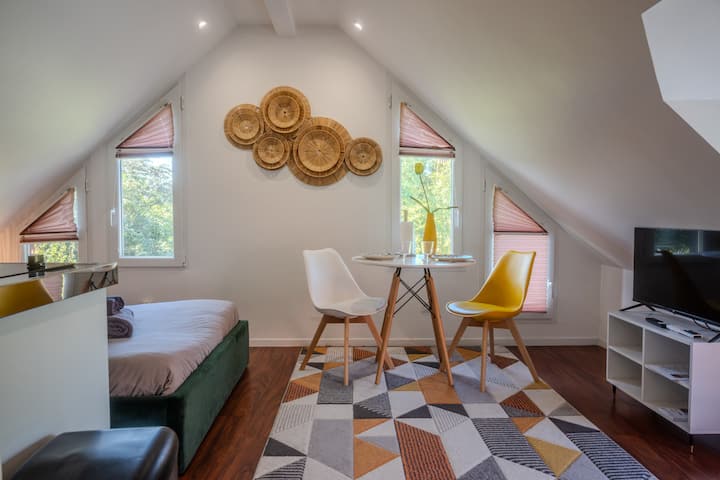Cosy Appartement 2 - Clim & Parking - Strasbourg - Illkirch-Graffenstaden
