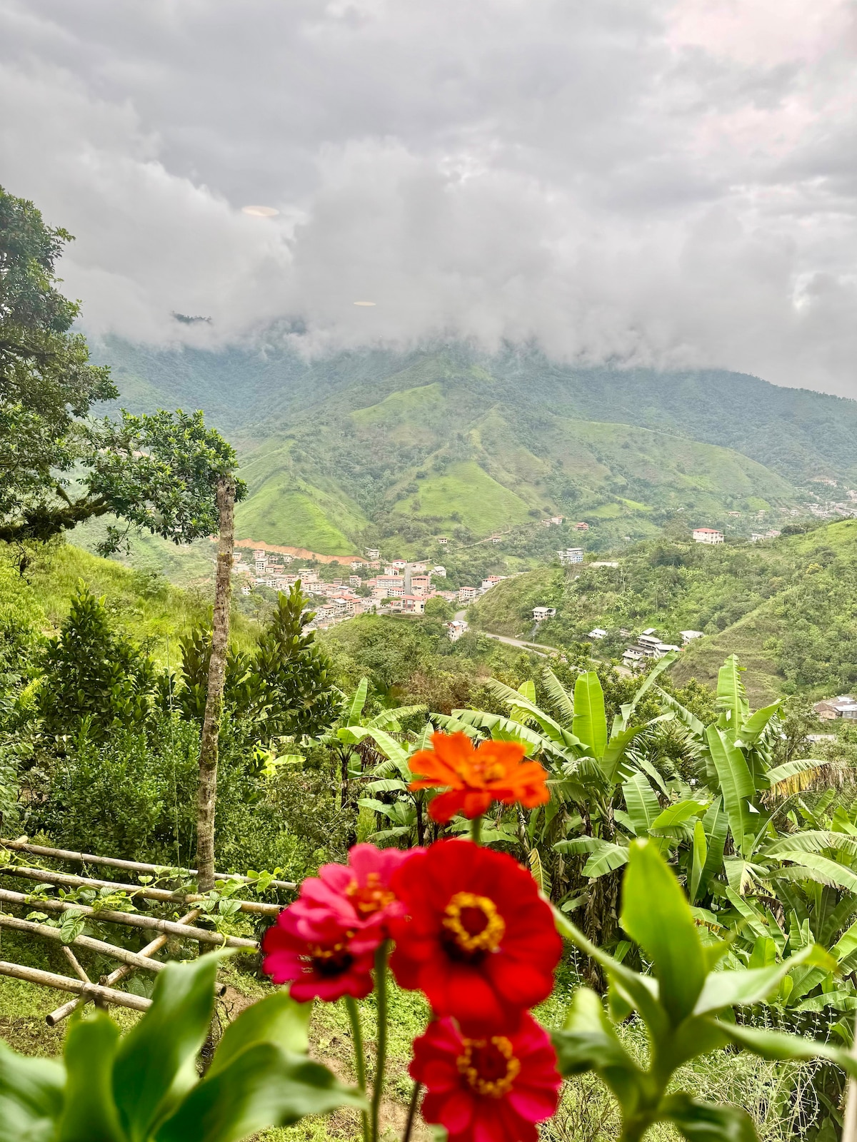 A vibrant garden is showcased with colorful flowers in the foreground, while the lush green mountains rise in the background. Wispy clouds cover the peaks, and a small town is visible nestled among the hills, offering a glimpse of natural beauty.