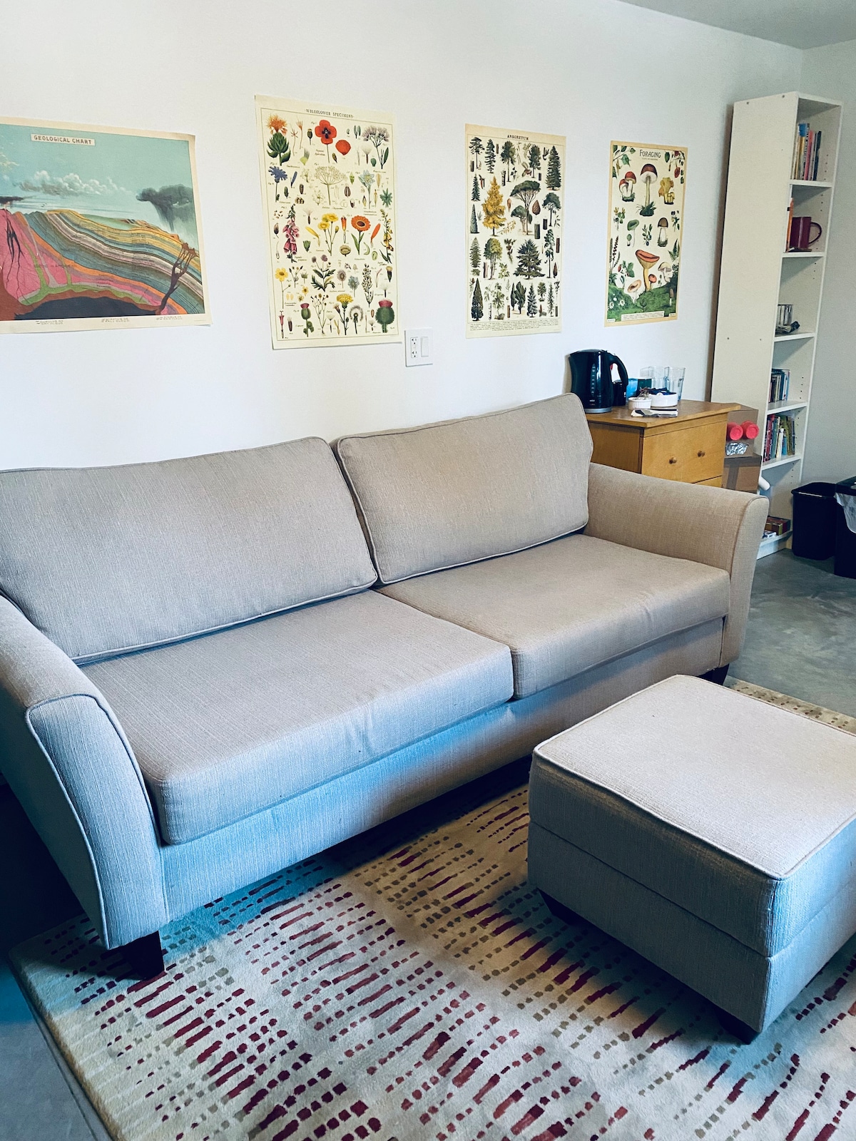 غرفة المعيشة