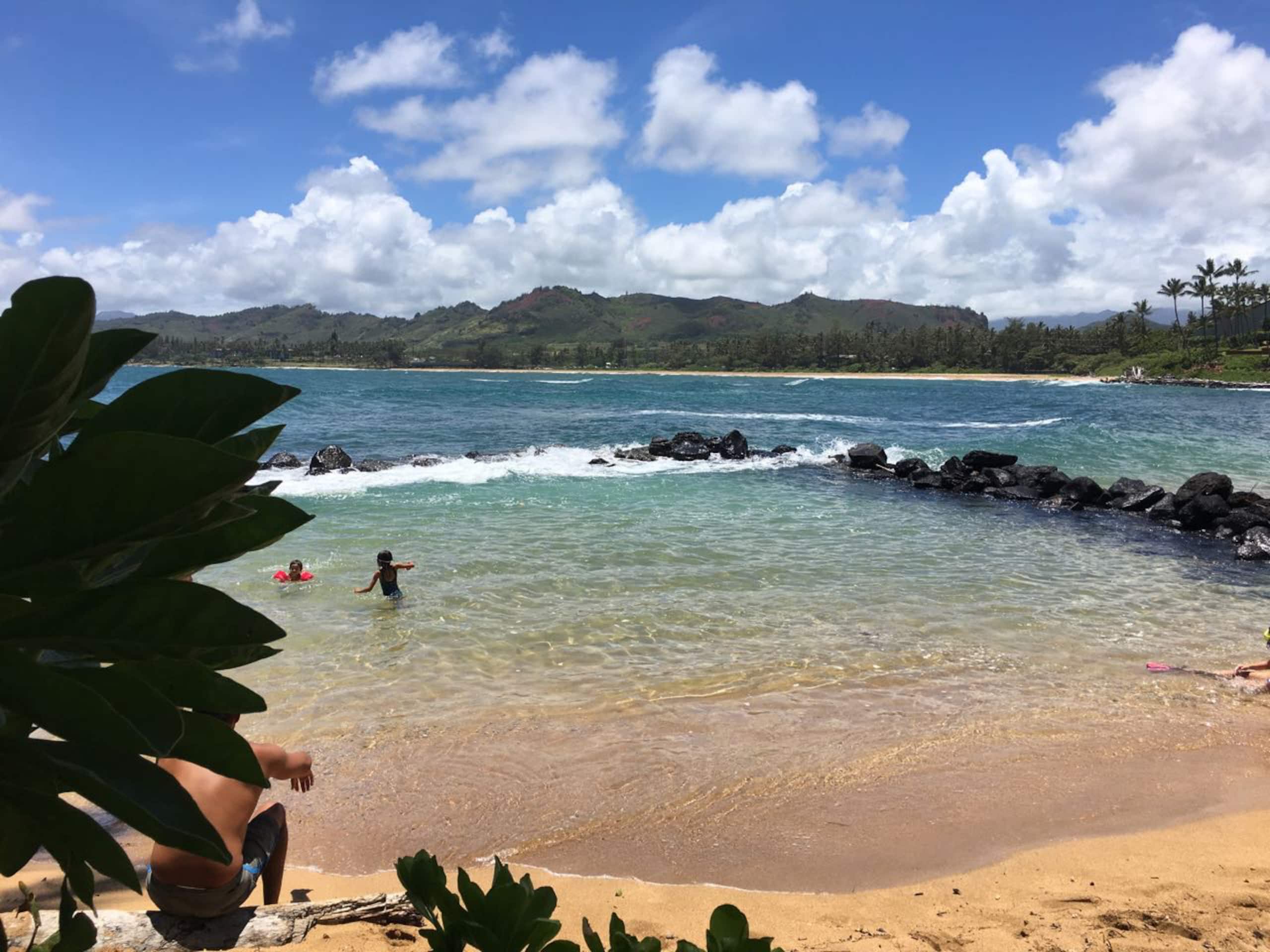 Home in Kapaa · ★4.6 · 2 bedrooms · 3 beds · 1 bath - Image 29