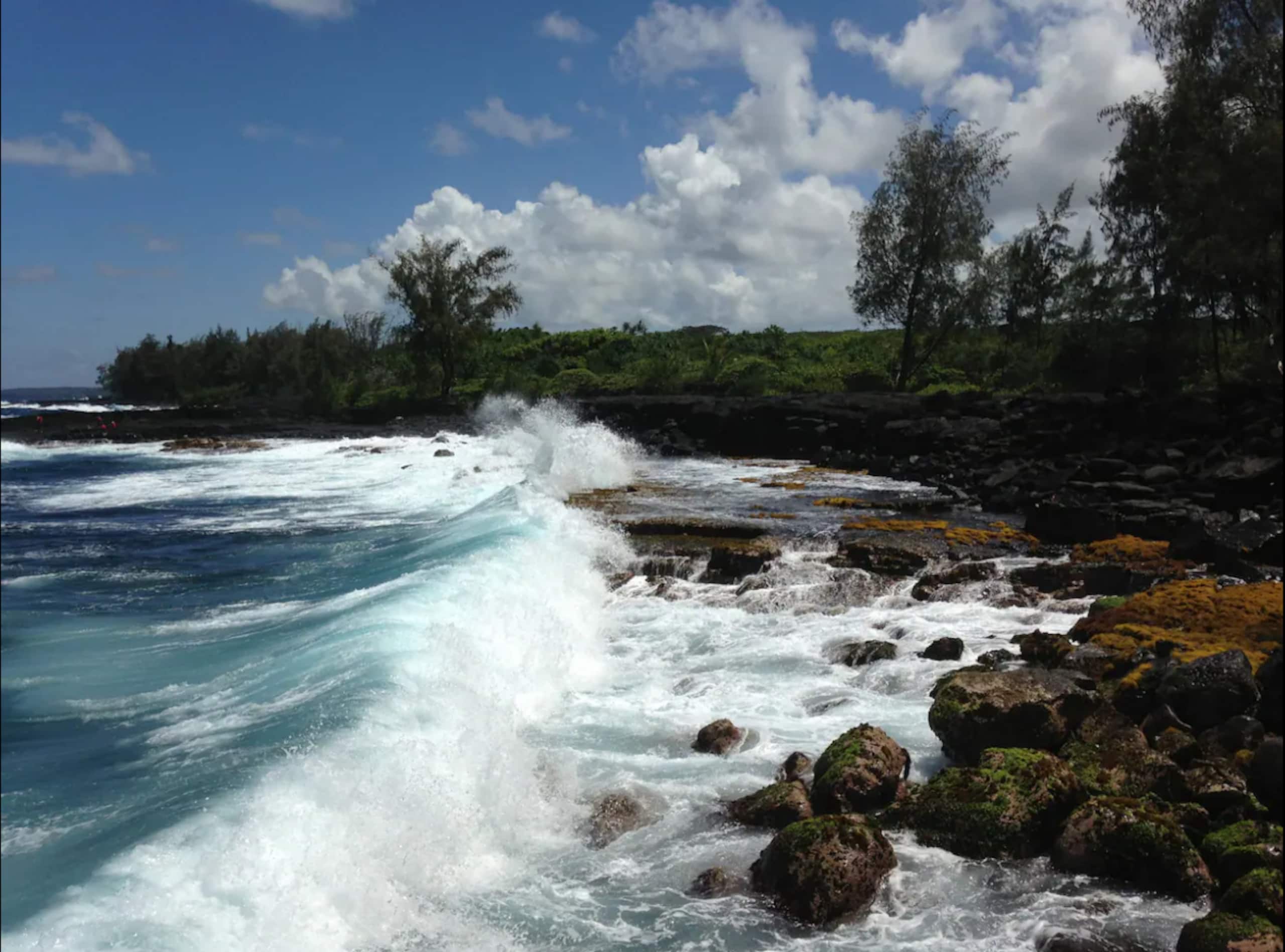 Home in Keaau · ★5.0 · 1 bedroom · 3 beds · 1 private bath - Image 43