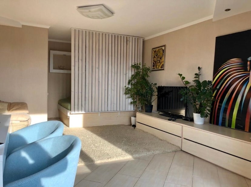 A well-lit living space features a cozy couch and a large television. Green plants add life to the room, while a softly illuminated sleeping area is separated by wooden slats. A light-colored area rug covers the floor, enhancing the open feel of the space.