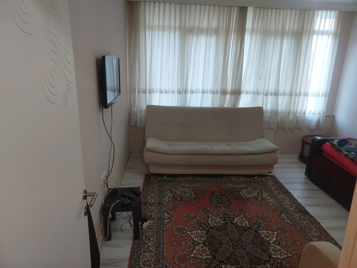 A bright living area features large windows draped with light sheer curtains. A neutral-colored sofa is positioned against the wall, complemented by a traditional rug with intricate patterns. A small side table is located next to the sofa, and a television is mounted on the wall.