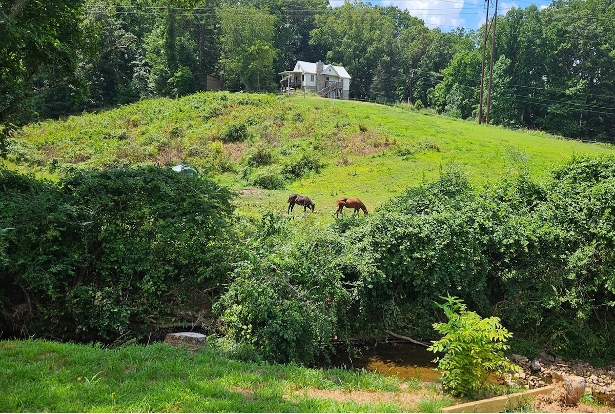 Two horses graze peacefully on a verdant hillside, surrounded by lush greenery. In the background, a charming house is nestled among the trees, showcasing a serene rural landscape. A creek can be seen at the forefront, contributing to the tranquil atmosphere.