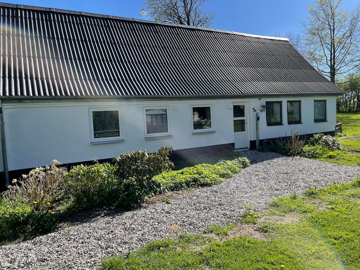 A single-story home is set within a serene landscape, featuring large windows that allow natural light to enter. The gravel pathway leads to the entrance, bordered by a garden with various plants. The roof showcases a classic slanted design, contributing to the overall simplicity of the residence.