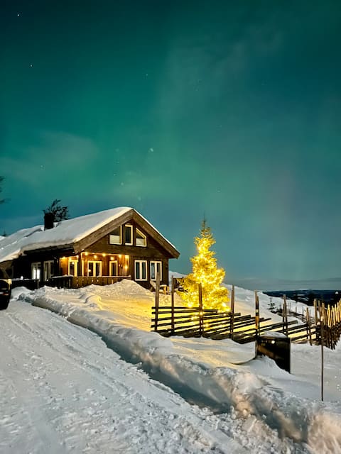 Cozy viewing cabin-
Right on the cross-country ski trail!