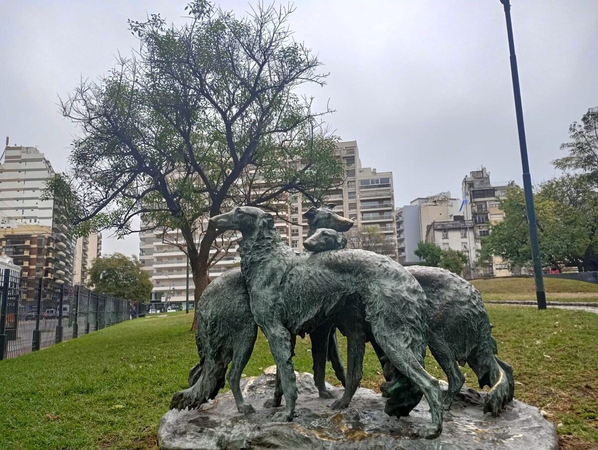 Apartamento de 1 quarto em Recoleta