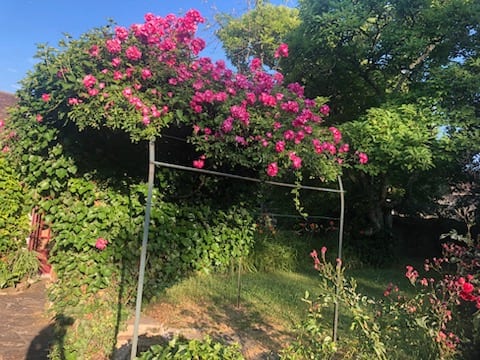 Country house/12p/Forest/wifi