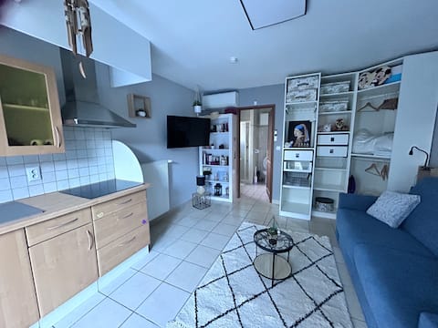 Studio at the foot of Vercors