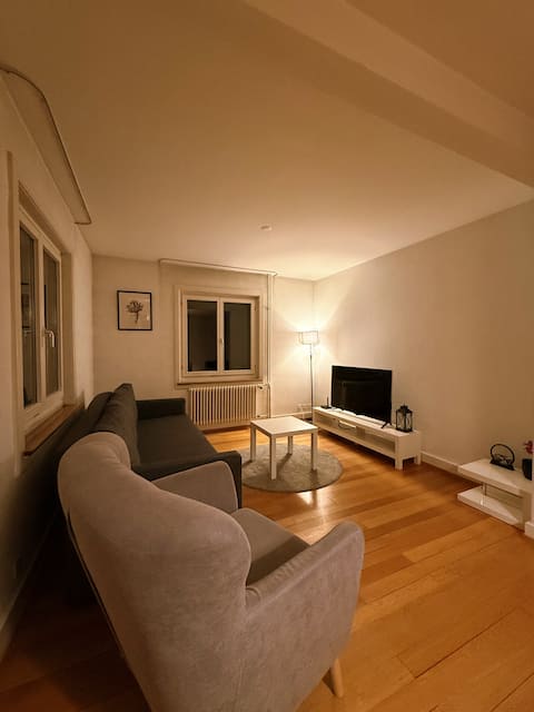 Charming House Zürich with Free Parking