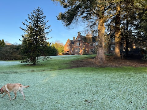 Lovely Carlung House