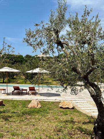 Trulli Olivetum + private pool by Trulli Casalina gallery image 4
