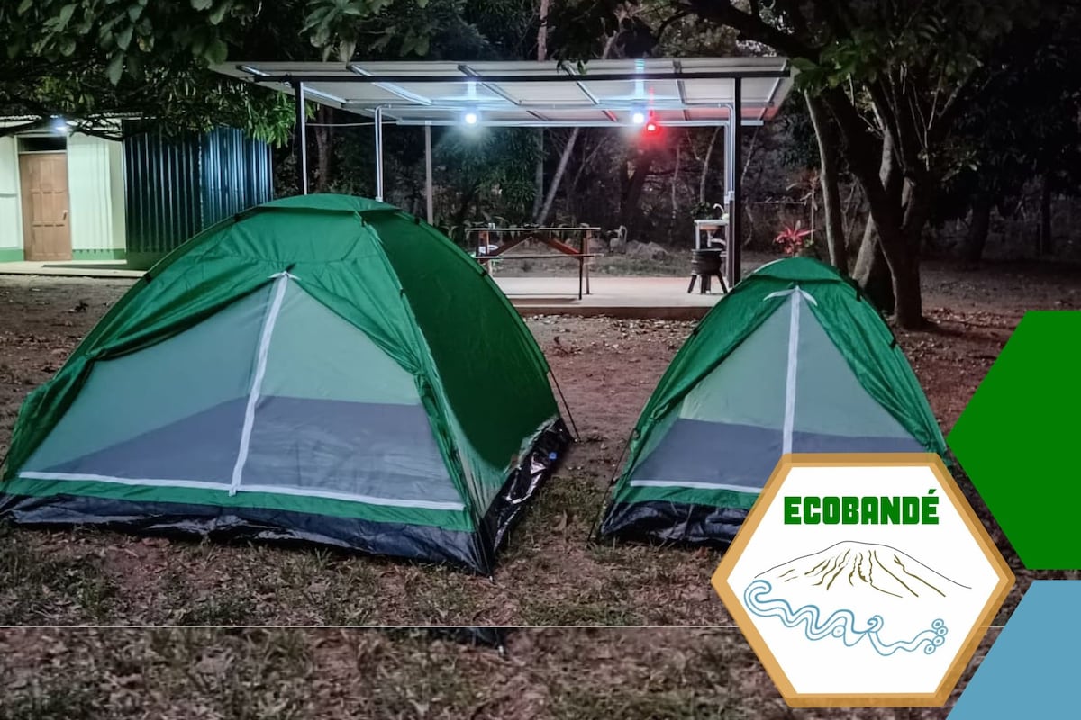 Two green camping tents are positioned on the ground, surrounded by trees. A covered area with lighting is visible in the background, providing additional space for outdoor activities. The natural setting suggests a peaceful camping experience.