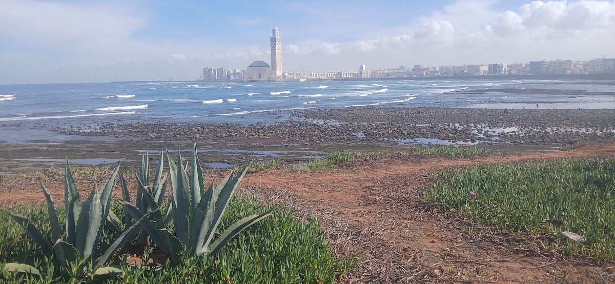 Condo in Casablanca  439  1 bedroom  2 beds  1 shared bath - image 5