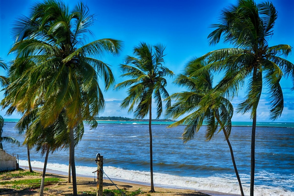 Tall palm trees sway gently along a sandy beach, overlooking calm ocean waves. A bright blue sky is adorned with a few scattered clouds, enhancing the coastal scenery. The distant shoreline creates a sense of tranquility, inviting relaxation and connection with nature.