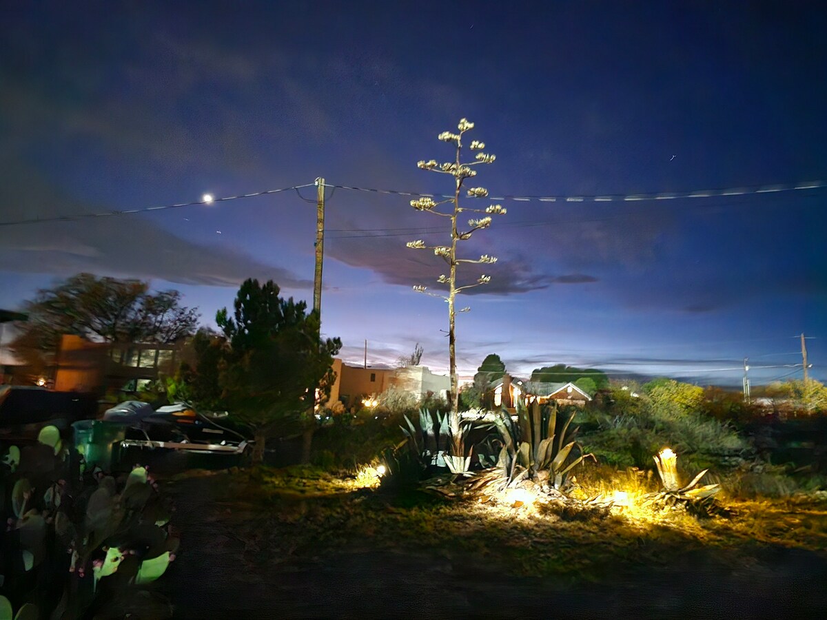 A serene night scene is captured, showcasing a landscape illuminated by subtle lighting. An agave plant stands prominently, surrounded by cacti. A soft glow highlights the vegetation, while a clear sky with distant stars creates a calm ambiance.