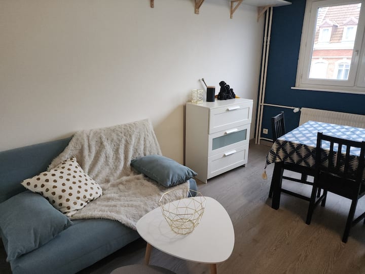 T1 à 2 Pas Du Centre Strasbourg - Strasbourg