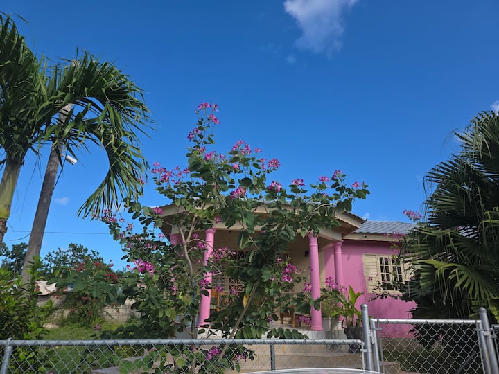 Pink House on Middle Street - Houses for Rent in White River, St