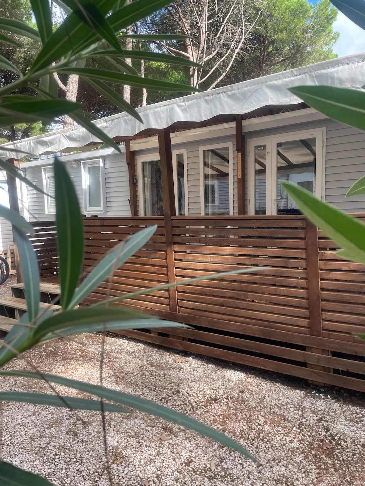 The exterior of a mobile home is framed by greenery, showcasing a wooden deck and a slatted wooden privacy screen. Large windows provide insight into a bright interior, which is partially visible through the plants surrounding the entrance.