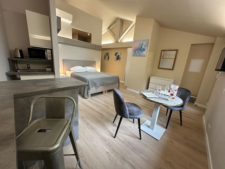 Les Esquisses - Jusqu'à 3 Appartements - Nîmes