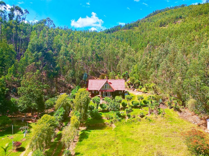 Beautiful country cabin 3 minutes from Tibasosa.