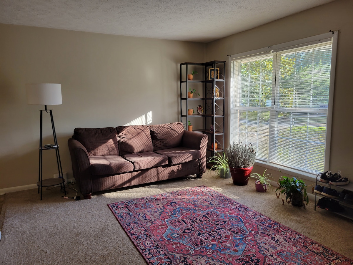 A cozy living room features a brown sofa positioned next to a tall shelf filled with plants and decorative items. Natural light floods the space through large windows, illuminating a colorful area rug that lies on the carpeted floor.