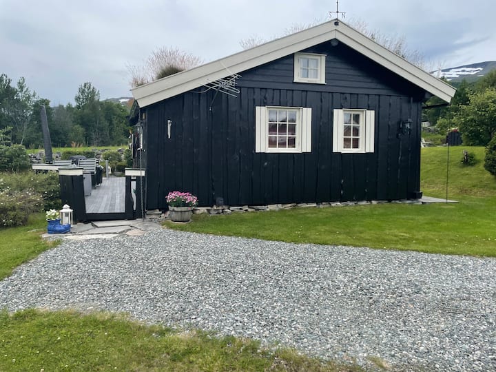 Image 1